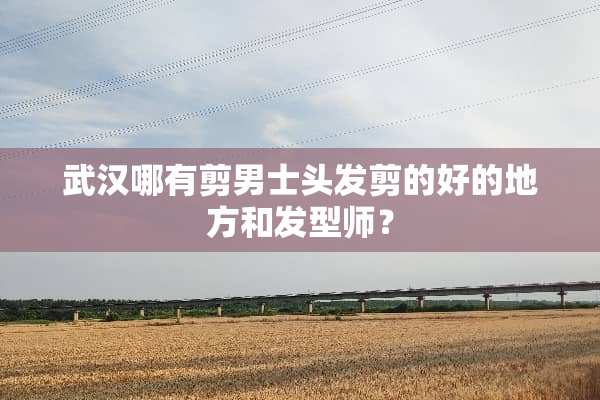 武汉哪有剪男士头发剪的好的地方和发型师？