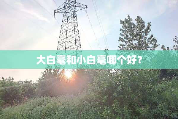 大白毫和小白毫哪个好？