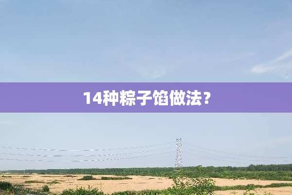 14种粽子馅做法？