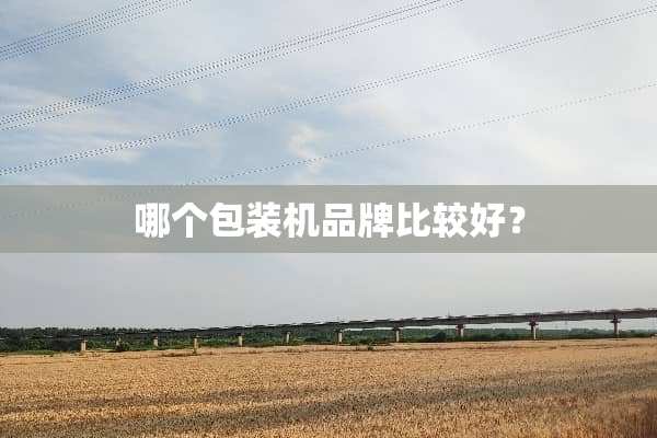 哪个包装机品牌比较好？