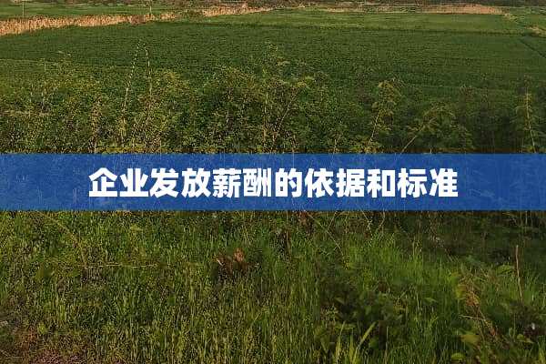 企业发放薪酬的依据和标准
