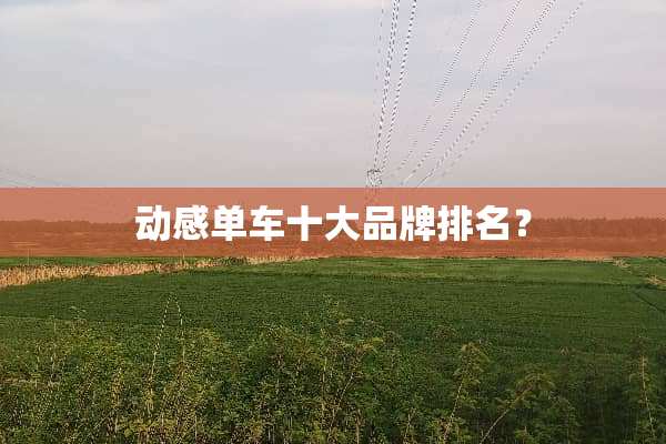 动感单车十大品牌排名？