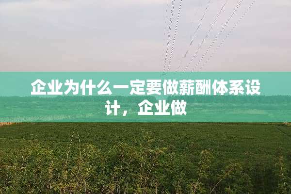 企业为什么一定要做薪酬体系设计，企业做