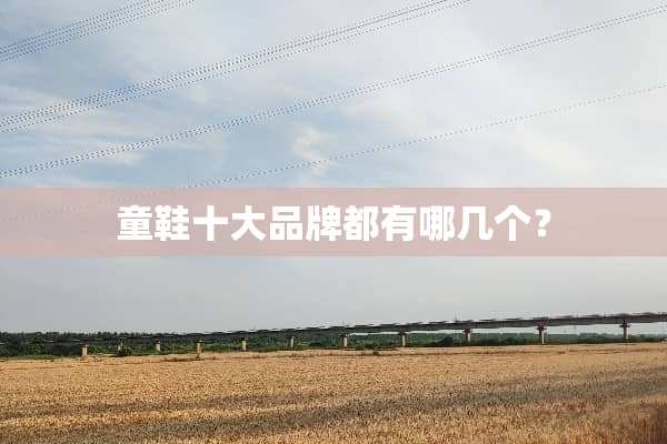 童鞋十大品牌都有哪几个？