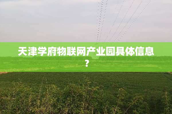 天津学府物联网产业园具体信息？