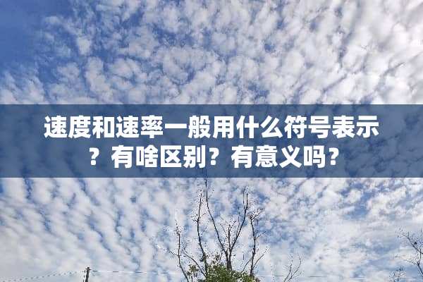 速度和速率一般用什么符号表示？有啥区别？有意义吗？