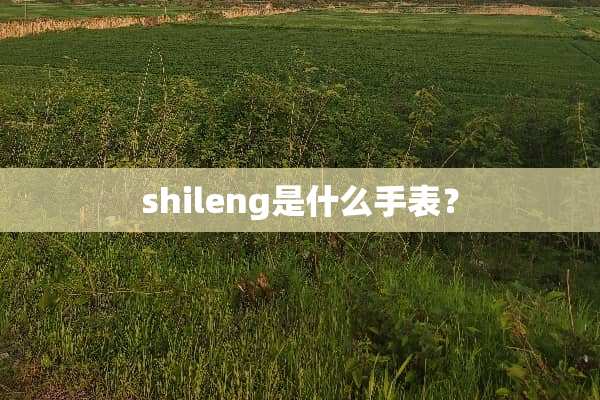 shileng是什么手表？