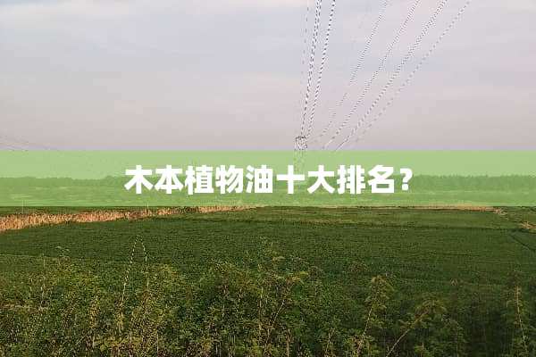 木本植物油十大排名？
