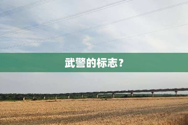 **的标志？