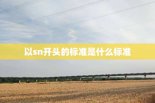 以sn开头的标准是什么标准