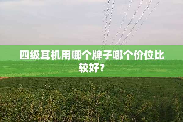 四级耳机用哪个牌子哪个价位比较好？