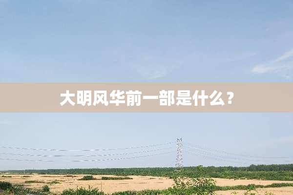 大明风华前一部是什么？