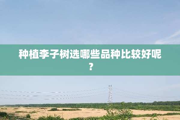 种植李子树选哪些品种比较好呢？