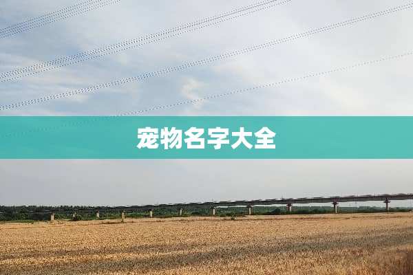 宠物名字大全