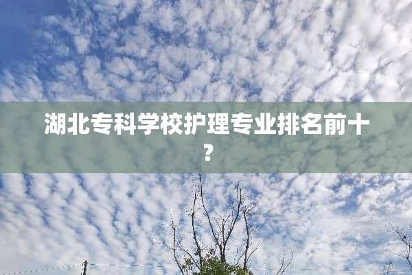 湖北专科学校护理专业排名前十？