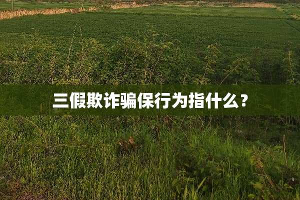 三假欺**保行为指什么？