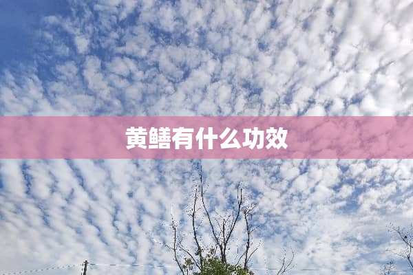 黄鳝有什么功效