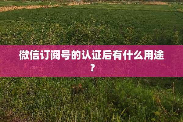 微信订阅号的认证后有什么用途？