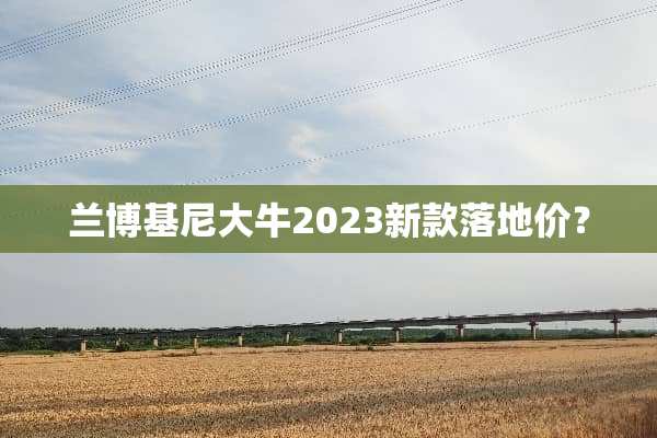 兰博基尼大牛2023新款落地价？