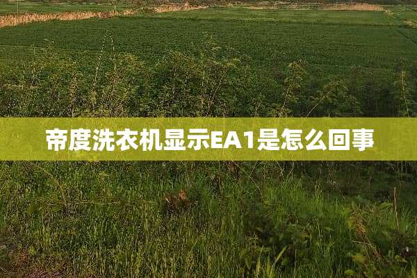 帝度洗衣机显示EA1是怎么回事