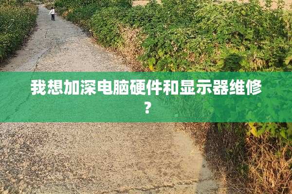 我想加深电脑硬件和显示器维修？