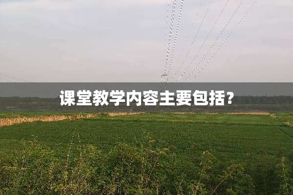 课堂教学内容主要包括？