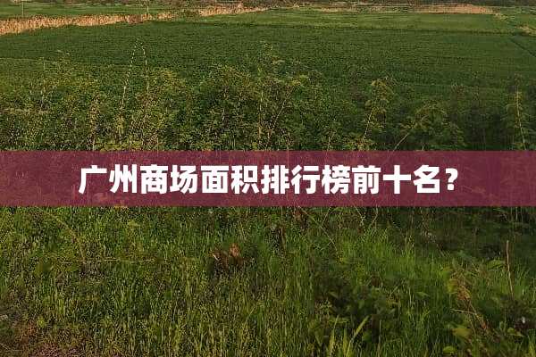 广州商场面积排行榜前十名？