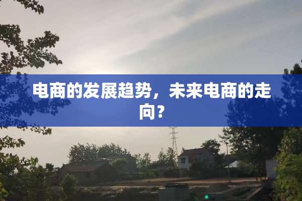 电商的发展趋势，未来电商的走向？