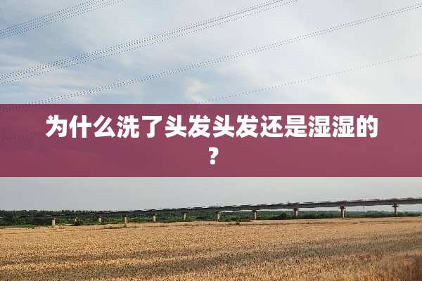 为什么洗了头发头发还是湿湿的？