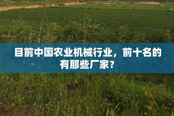 目前中国农业机械行业，前十名的有那些厂家？