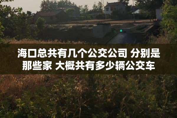 海口总共有几个公交公司 分别是那些家 大概共有多少辆公交车