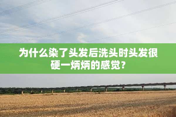为什么染了头发后洗头时头发很硬一炳炳的感觉？