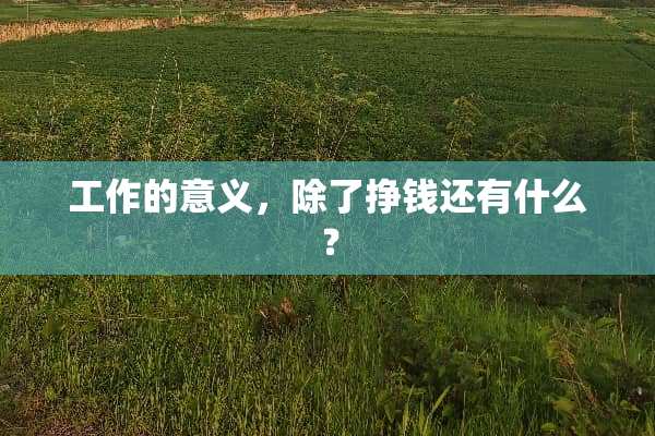 工作的意义，除了挣钱还有什么？