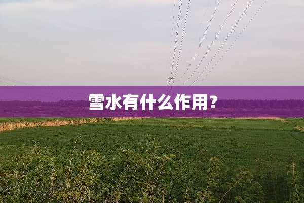 雪水有什么作用？