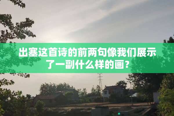 出塞这首诗的前两句像我们展示了一副什么样的画？