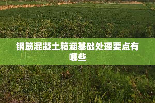钢筋混凝土箱涵基础处理要点有哪些