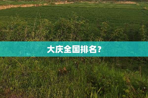 大庆全国排名？