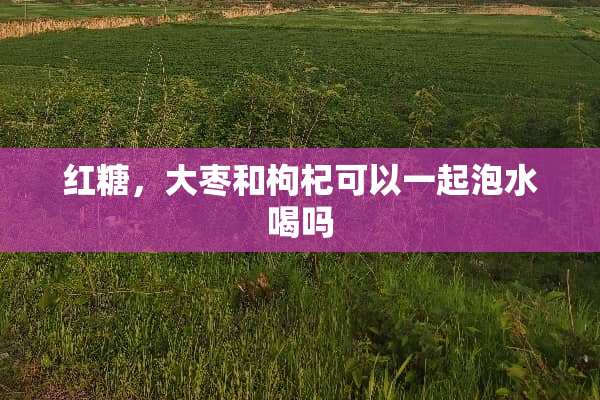 红糖，大枣和枸杞可以一起泡水喝吗