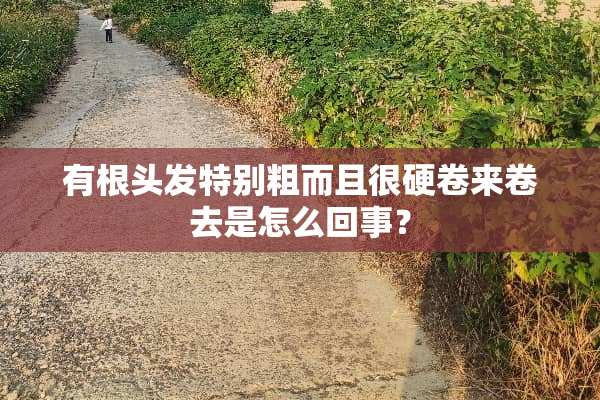 有根头发特别粗而且很硬卷来卷去是怎么回事？