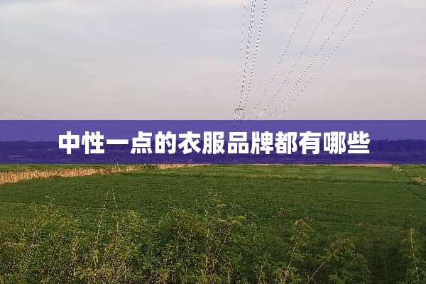 中性一点的衣服品牌都有哪些