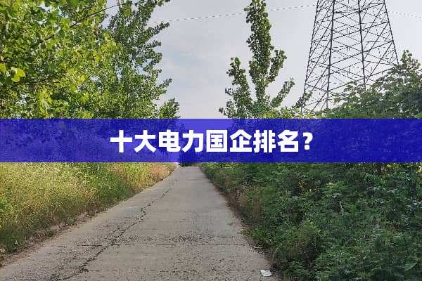 十大电力国企排名？