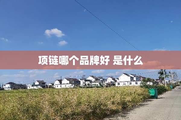 项链哪个品牌好 是什么