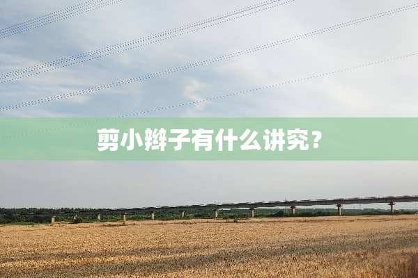 剪小辫子有什么讲究？