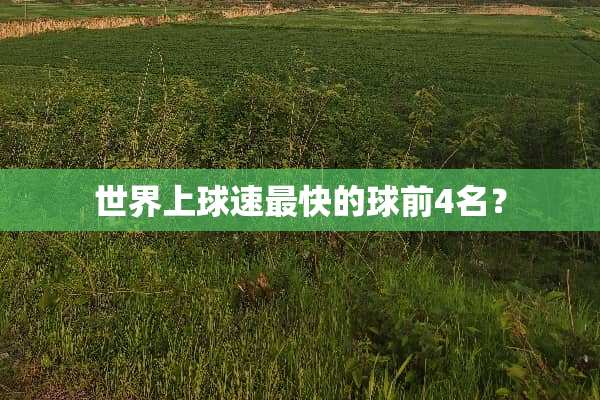 世界上球速最快的球前4名？