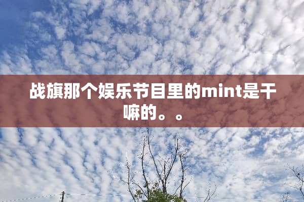 战旗那个娱乐节目里的mint是干嘛的。。