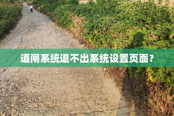 道闸系统退不出系统设置页面？