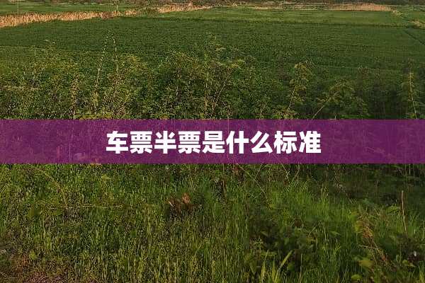 车票半票是什么标准