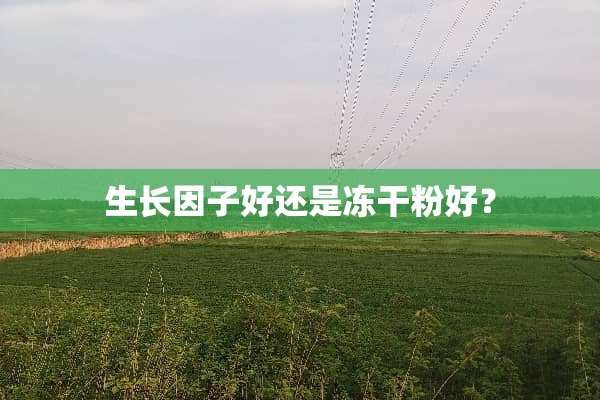 生长因子好还是***好？