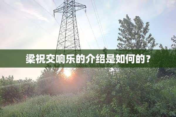 梁祝交响乐的介绍是如何的？