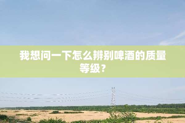 我想问一下怎么辨别啤酒的质量等级？